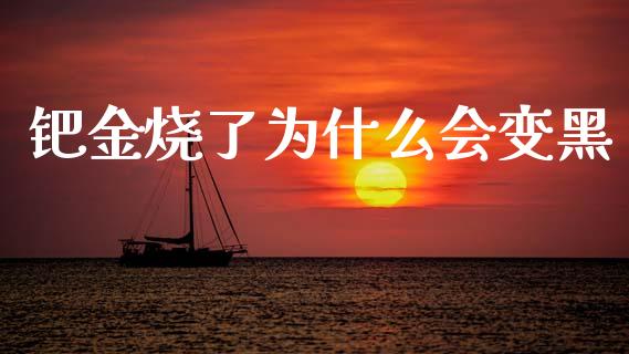 钯金烧了为什么会变黑_国际期货恒指直播间_第1张_恒指直播_国际期货恒指直播间_德指直播室_纳指直播喊单 钯金烧了为什么会变黑_https://m.sdyuehang.cn_国际期货恒指直播间_第1张