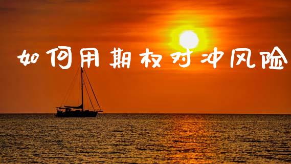如何用期权对冲风险_https://m.sdyuehang.cn_国际期货恒指直播间_第1张