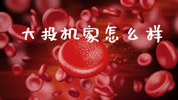 大投机家怎么样_https://m.sdyuehang.cn_国际期货恒指直播间_第1张