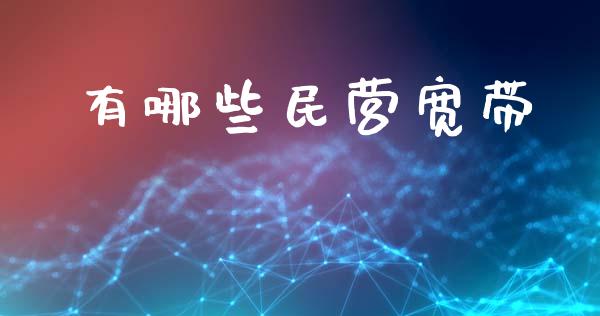 有哪些民营宽带_https://m.sdyuehang.cn_恒指直播_第1张