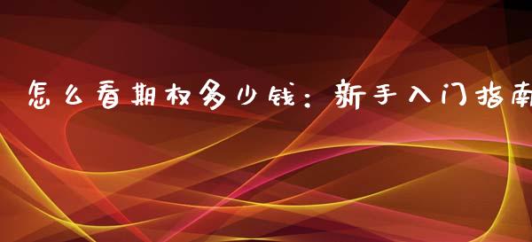 怎么看期权多少钱：新手入门指南_https://m.sdyuehang.cn_纳指直播喊单_第1张