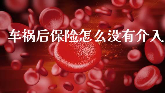 车祸后保险怎么没有介入_https://m.sdyuehang.cn_恒指直播_第1张