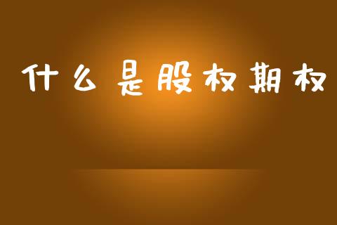 什么是股权期权_https://m.sdyuehang.cn_恒指直播_第1张