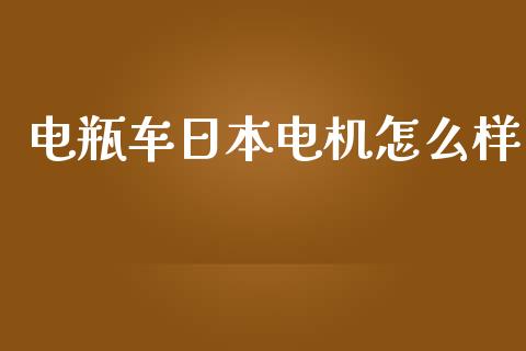 电瓶车日本电机怎么样_https://m.sdyuehang.cn_恒指直播_第1张