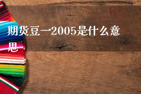 期货豆一2005是什么意思_https://m.sdyuehang.cn_国际期货恒指直播间_第1张
