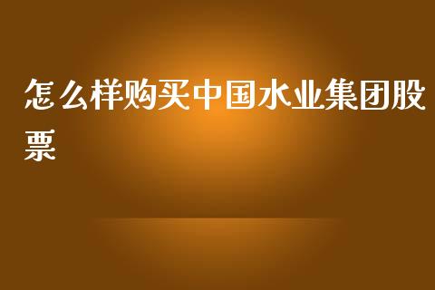 怎么样购买中国水业集团股票_https://m.sdyuehang.cn_德指直播室_第1张