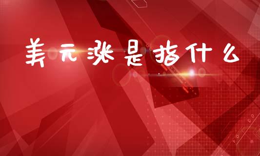 美元涨是指什么_https://m.sdyuehang.cn_纳指直播喊单_第1张