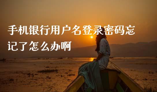 手机银行用户名登录密码忘记了怎么办啊_https://m.sdyuehang.cn_恒指直播_第1张