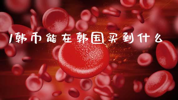 1韩币能在韩国买到什么_https://m.sdyuehang.cn_德指直播室_第1张