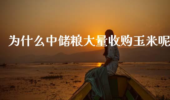 为什么中储粮大量收购玉米呢_https://m.sdyuehang.cn_国际期货恒指直播间_第1张