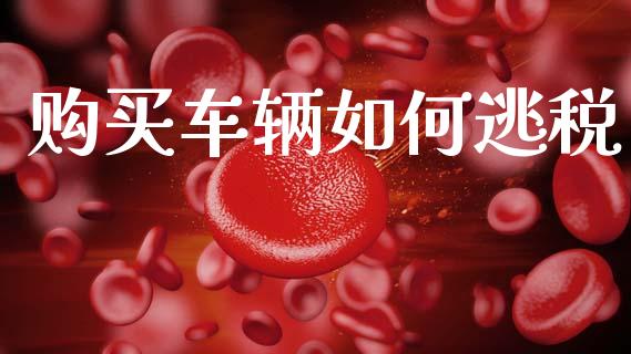 购买车辆如何逃税_https://m.sdyuehang.cn_德指直播室_第1张