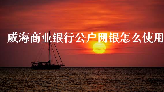 威海商业银行公户网银怎么使用_https://m.sdyuehang.cn_国际期货恒指直播间_第1张