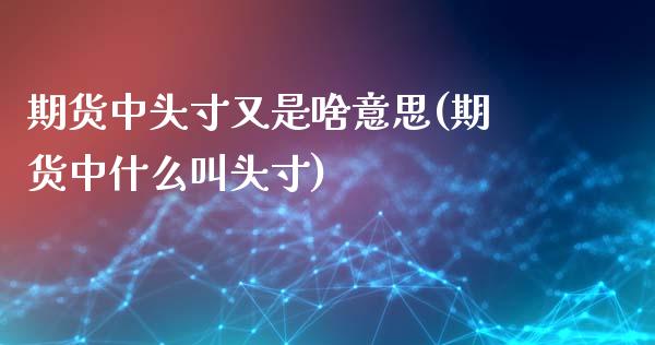 期货中头寸又是啥意思(期货中什么叫头寸)_https://m.sdyuehang.cn_国际期货恒指直播间_第1张