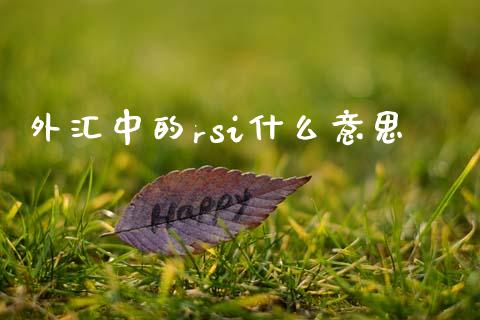 外汇中的rsi什么意思_https://m.sdyuehang.cn_德指直播室_第1张