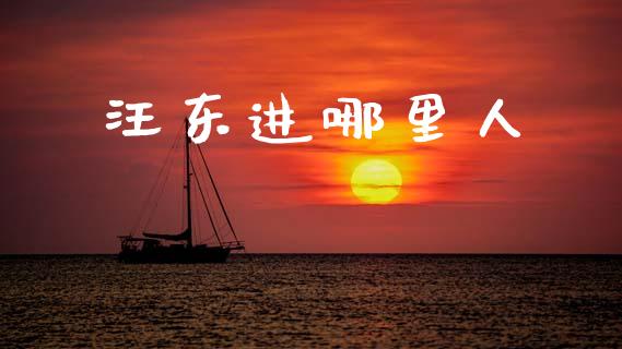 汪东进哪里人_https://m.sdyuehang.cn_国际期货恒指直播间_第1张