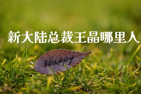 新大陆总裁王晶哪里人_https://m.sdyuehang.cn_德指直播室_第1张
