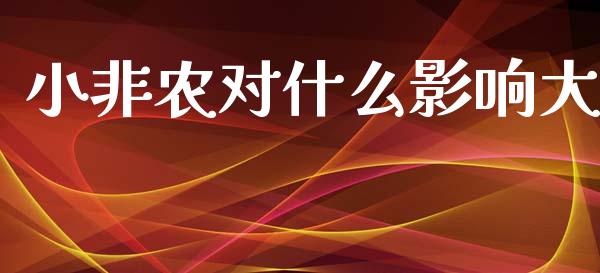 小非农对什么影响大_https://m.sdyuehang.cn_国际期货恒指直播间_第1张