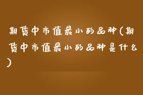 期货中市值最小的品种(期货中市值最小的品种是什么)_https://m.sdyuehang.cn_恒指直播_第1张