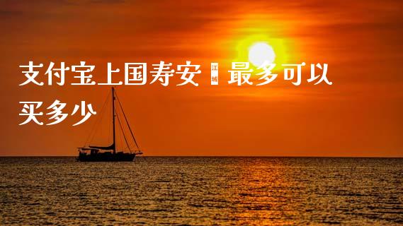 支付宝上国寿安鑫最多可以买多少_https://m.sdyuehang.cn_恒指直播_第1张