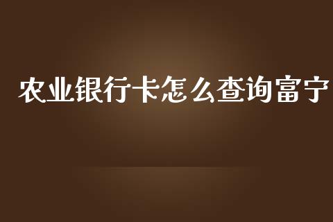 农业银行卡怎么查询富宁_https://m.sdyuehang.cn_恒指直播_第1张