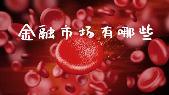 金融市场有哪些_https://m.sdyuehang.cn_恒指直播_第1张