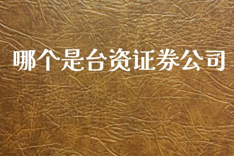 哪个是台资证券公司_https://m.sdyuehang.cn_恒指直播_第1张