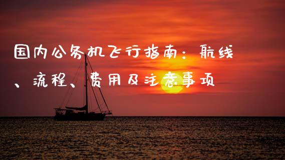 国内公务机飞行指南：航线、流程、费用及注意事项_https://m.sdyuehang.cn_纳指直播喊单_第1张
