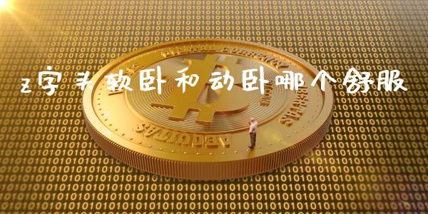 z字头软卧和动卧哪个舒服_https://m.sdyuehang.cn_恒指直播_第1张
