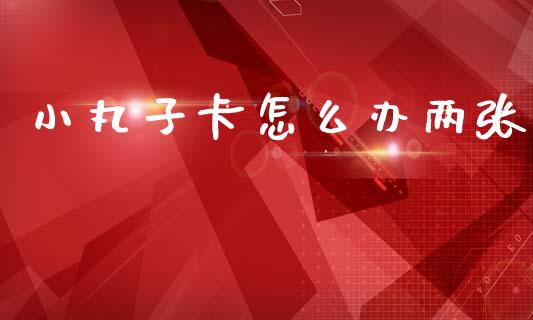 小丸子卡怎么办两张_https://m.sdyuehang.cn_德指直播室_第1张