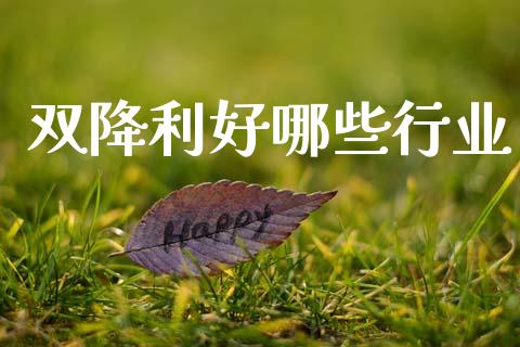 双降利好哪些行业_https://m.sdyuehang.cn_纳指直播喊单_第1张
