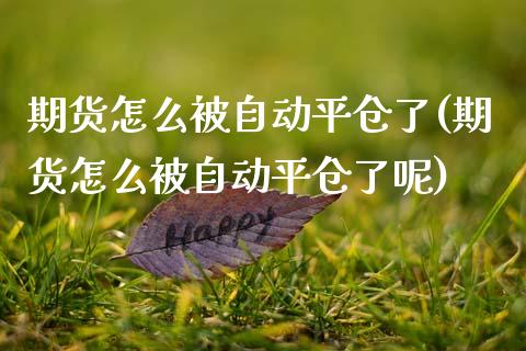 期货怎么被自动平仓了(期货怎么被自动平仓了呢)_https://m.sdyuehang.cn_恒指直播_第1张
