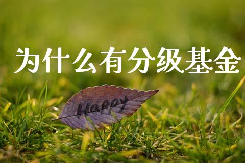 为什么有分级基金_https://m.sdyuehang.cn_纳指直播喊单_第1张
