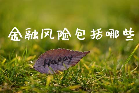 金融风险包括哪些_https://m.sdyuehang.cn_恒指直播_第1张