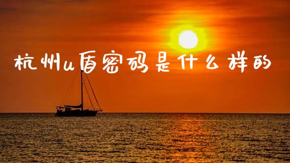 杭州u盾密码是什么样的_https://m.sdyuehang.cn_恒指直播_第1张