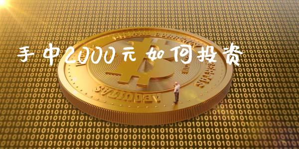 手中2000元如何投资_https://m.sdyuehang.cn_恒指直播_第1张