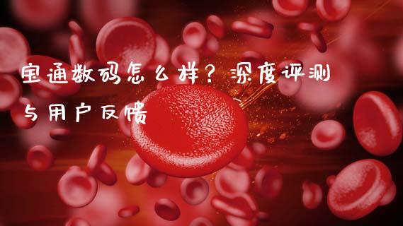 宝通数码怎么样？深度评测与用户反馈_https://m.sdyuehang.cn_德指直播室_第1张