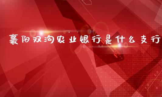 襄阳双沟农业银行是什么支行_https://m.sdyuehang.cn_德指直播室_第1张