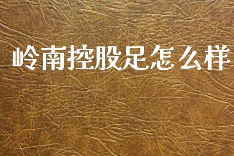 岭南控股足怎么样_https://m.sdyuehang.cn_德指直播室_第1张