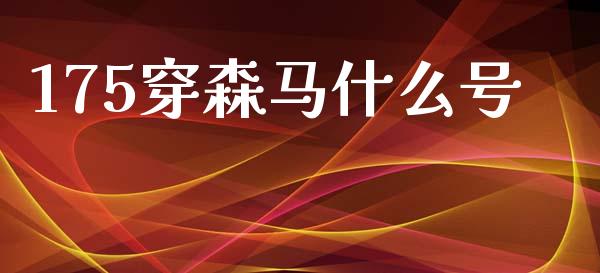 175穿森马什么号_https://m.sdyuehang.cn_德指直播室_第1张