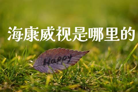 海康威视是哪里的_https://m.sdyuehang.cn_恒指直播_第1张