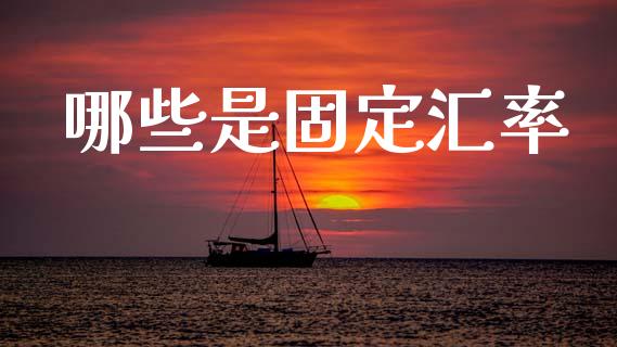 哪些是固定汇率_https://m.sdyuehang.cn_恒指直播_第1张