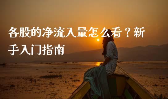 各股的净流入量怎么看？新手入门指南_https://m.sdyuehang.cn_国际期货恒指直播间_第1张