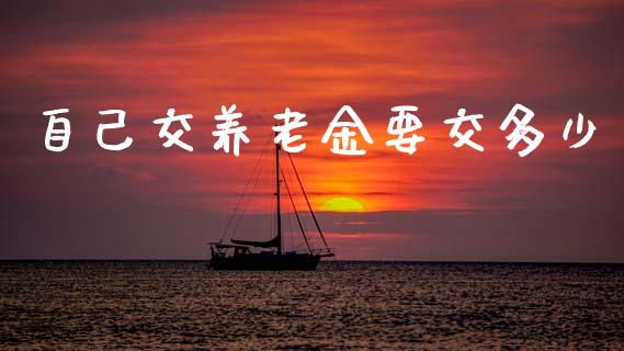 自己交养老金要交多少_https://m.sdyuehang.cn_国际期货恒指直播间_第1张