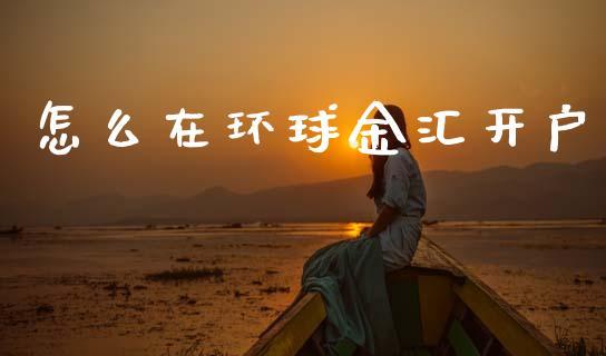 怎么在环球金汇开户_https://m.sdyuehang.cn_德指直播室_第1张