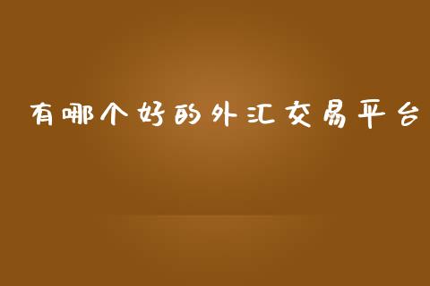 有哪个好的外汇交易平台_https://m.sdyuehang.cn_德指直播室_第1张