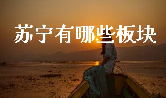 苏宁有哪些板块_https://m.sdyuehang.cn_德指直播室_第1张