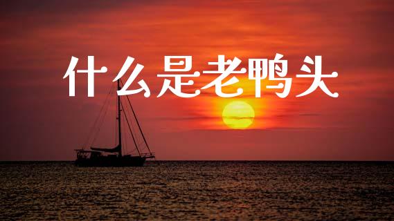 什么是老鸭头_https://m.sdyuehang.cn_纳指直播喊单_第1张