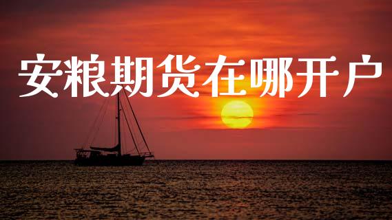 安粮期货在哪开户_https://m.sdyuehang.cn_纳指直播喊单_第1张