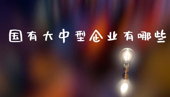 国有大中型企业有哪些_https://m.sdyuehang.cn_国际期货恒指直播间_第1张
