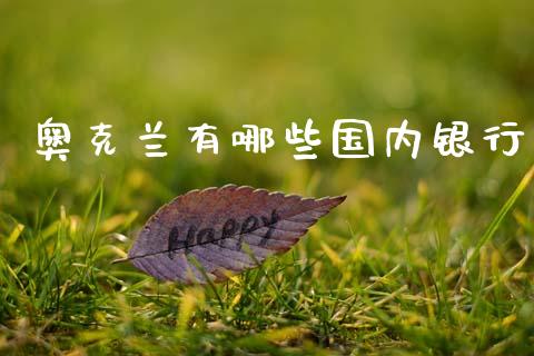 奥克兰有哪些国内银行_https://m.sdyuehang.cn_国际期货恒指直播间_第1张